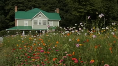 The Mast Farm Inn Sessions - Video